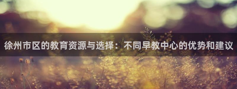 威九国际78ma：徐州市区的教育资源与选择：不同早教中心的优势和建议