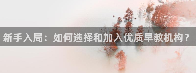 威九国际78ma：新手入局：如何选择和加入优质早教机构？