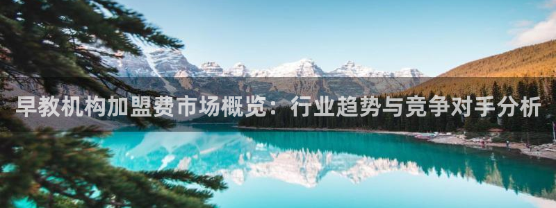 威九国际78mB：早教机构加盟费市场概览：行业趋势与竞争对手分析