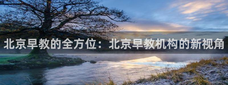 威九国际78mob游戏特色：北京早教的全方位：北京早教机构的新视角