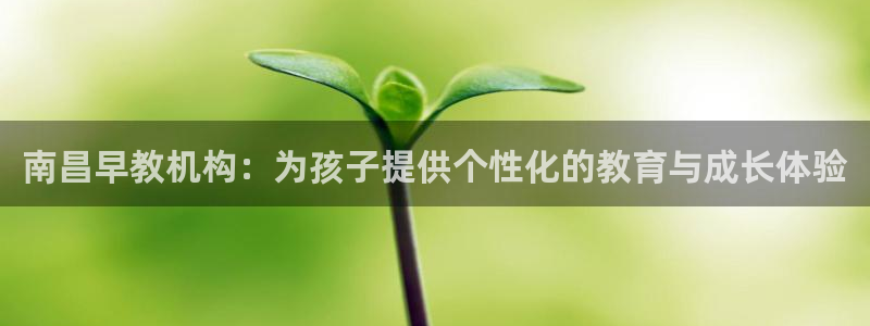威九国际网站为什么不禁止：南昌早教机构：为孩子提供个性化的教育与成长体验