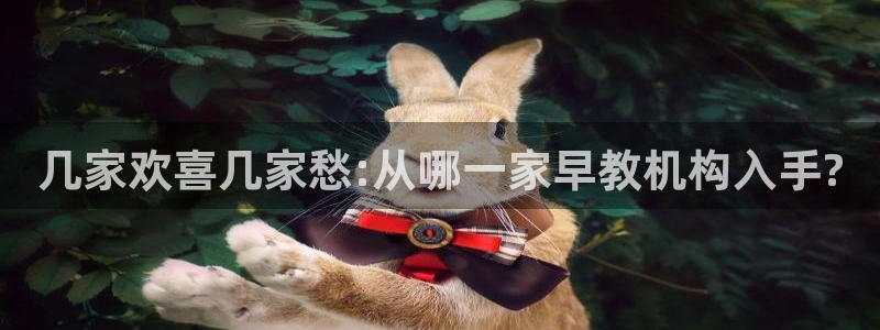 威九国际ppt免费下载：几家欢喜几家愁:从哪一家早教机构入手?