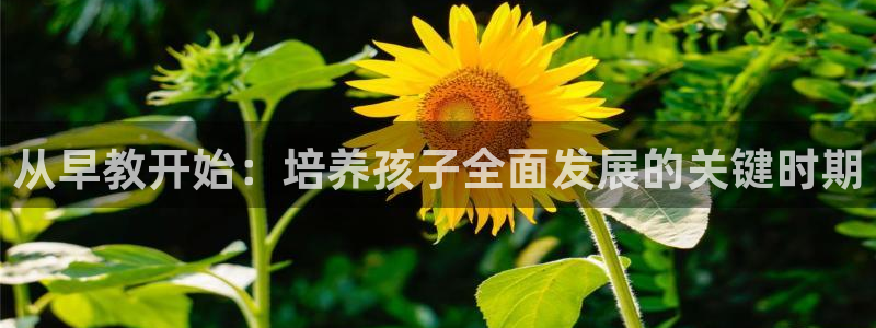 威九国际特殊奖励：从早教开始：培养孩子全面发展的关键时期