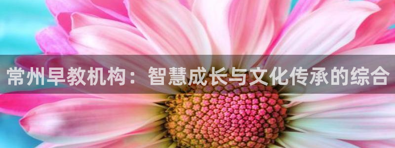 威九国际78mb：常州早教机构：智慧成长与文化传承的综合