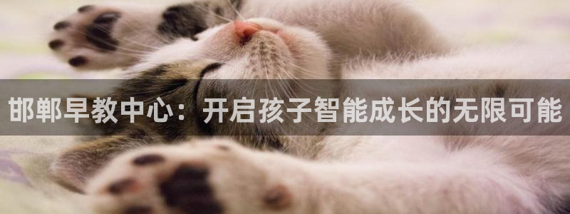 威九国际cm78：邯郸早教中心：开启孩子智能成长的无限可能