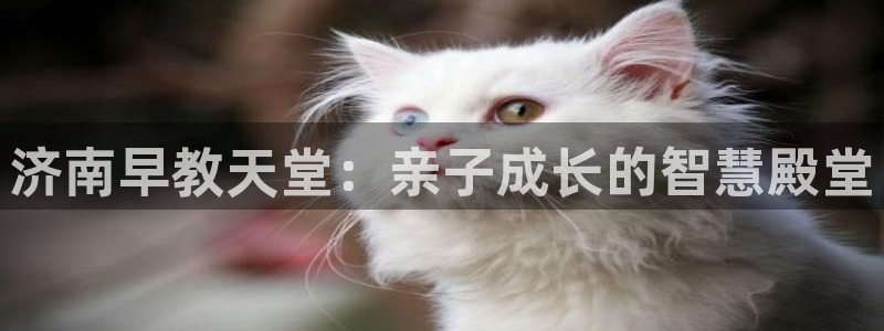 威九国际HP：济南早教天堂：亲子成长的智慧殿堂