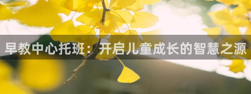 威九国际78mann：早教中心托班：开启儿童成长的智慧之源