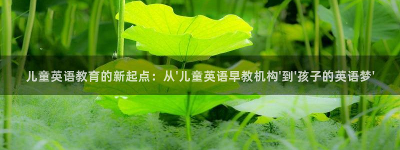 威九国际网站为什么不禁止：儿童英语教育的新起点：从\'儿童英语早教机构\'到\'