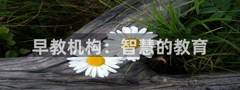 78mapp威九国际神曲口服液：早教机构：智慧的教育