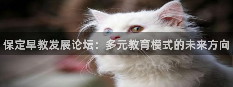 威九国际8ⅹ8x：保定早教发展论坛：多元教育模式的未来方向