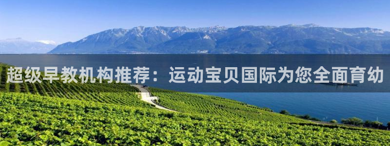 威九国际78mob游戏特色：超级早教机构推荐：运动宝贝国际为您全面育幼