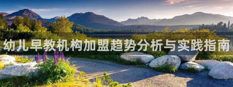 威九国际最新网站：幼儿早教机构加盟趋势分析与实践指南