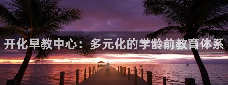 威九国际电子游戏：开化早教中心：多元化的学龄前教育体系