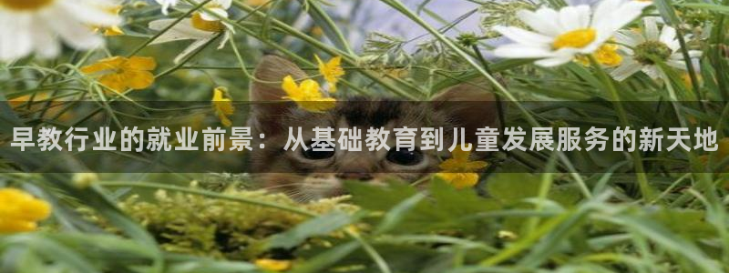 78mapp威九国际媒体央视：早教行业的就业前景：从基础教育到儿童发展服务的新天