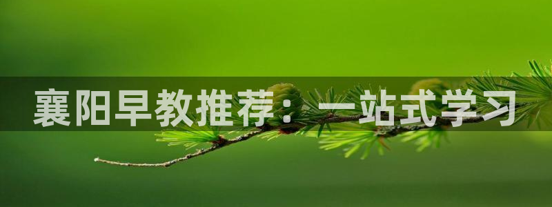 威九国际特殊奖励我的奖励竟然是嫂子：襄阳早教推荐：一站式学习