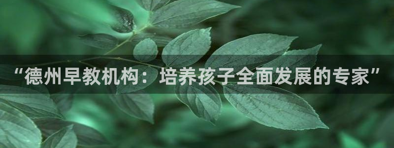 威九国际网站游戏：“德州早教机构：培养孩子全面发展的专家”