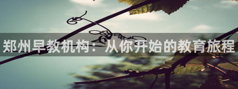 威九国际vA9618：郑州早教机构：从你开始的教育旅程