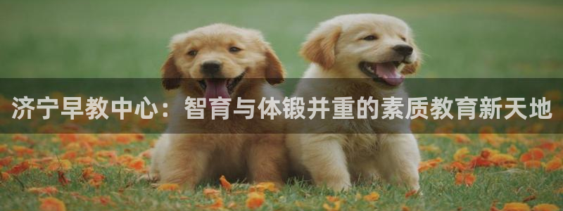 威九国际女明星：济宁早教中心：智育与体锻并重的素质教育新天地