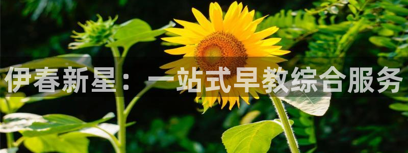 威九国际后爸：伊春新星：一站式早教综合服务