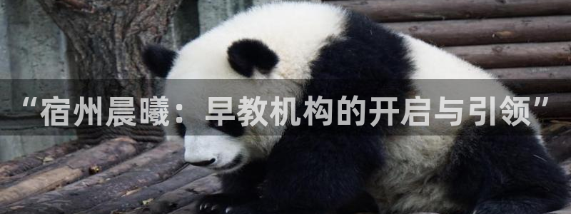 威九国际ppt免费下载：“宿州晨曦：早教机构的开启与引领”