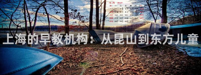 威九国际最新：上海的早教机构：从昆山到东方儿童