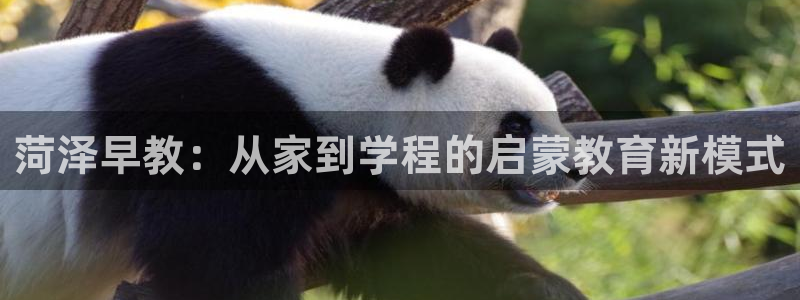 威九国际78mob：菏泽早教：从家到学程的启蒙教育新模式