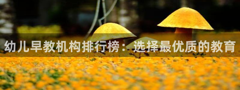 威九国际78mb下载：幼儿早教机构排行榜：选择最优质的教育