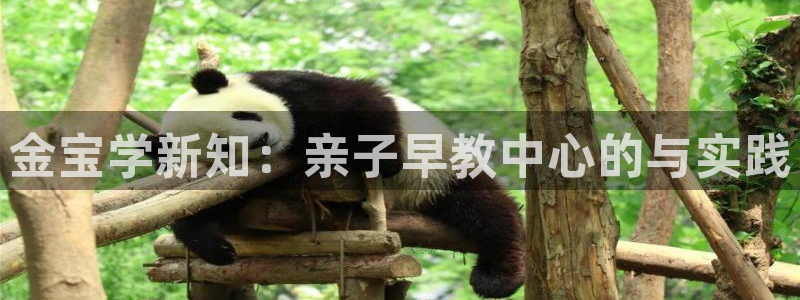威九国际最新网站：金宝学新知：亲子早教中心的与实践