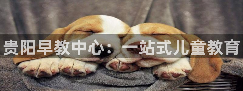 66m成长模式视频威九国际视频：贵阳早教中心：一站式儿童教育