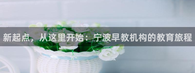 威九国际能提现吗现在：新起点，从这里开始：宁波早教机构的教育旅程